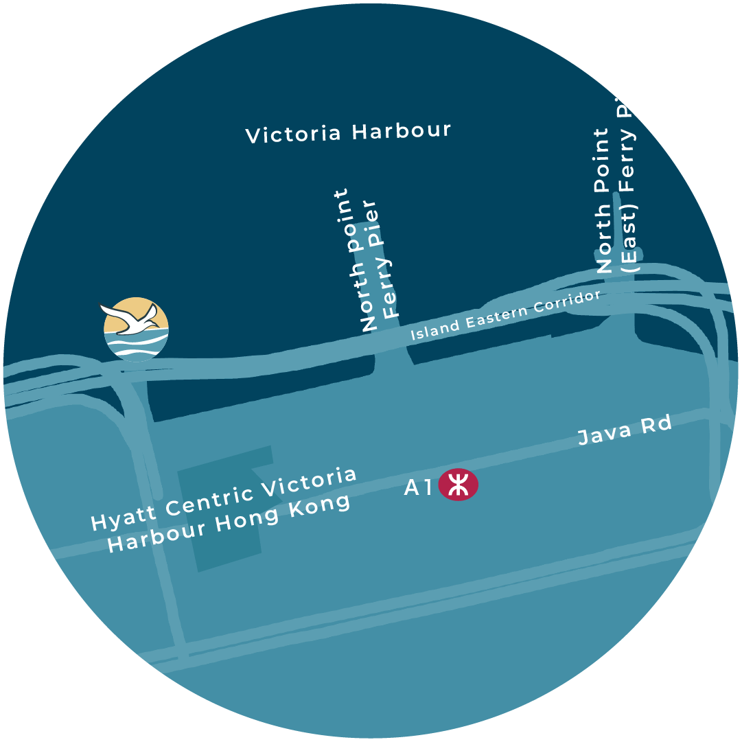 Dreamer Tour Hong Kong Harbour Tour North Point Boarding Location